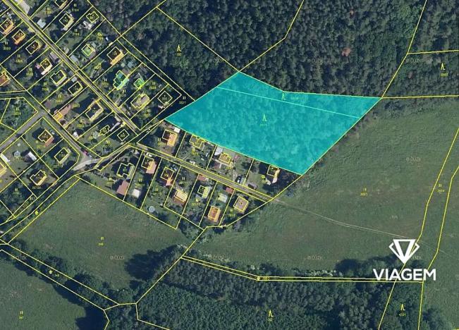 Prodej podílu lesa, Stříbrná Skalice, 2040 m2