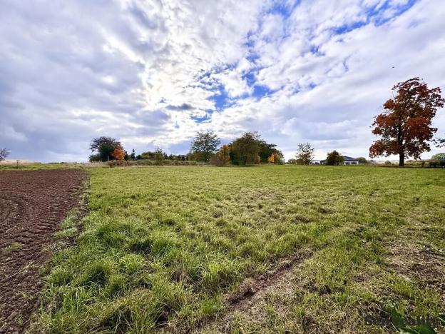 Prodej pozemku pro bydlení, Tatce, Na Stachově, 800 m2