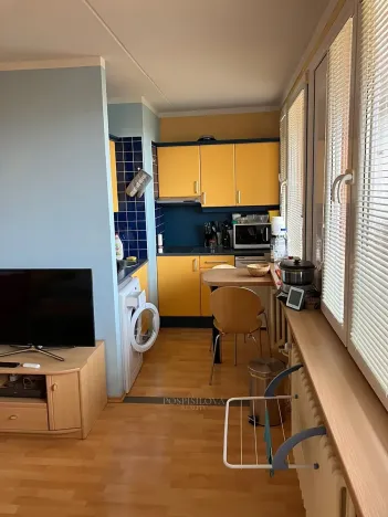 Pronájem bytu 1+kk, Kladno, Americká, 27 m2