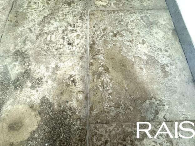 Prodej bytu 2+kk, Brno, Křenová, 53 m2