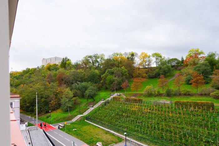 Pronájem bytu 2+kk, Praha - Žižkov, Tachovské náměstí, 50 m2