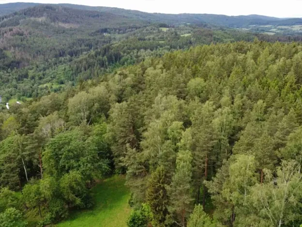 Dražba louky, Rejštejn, 1798 m2