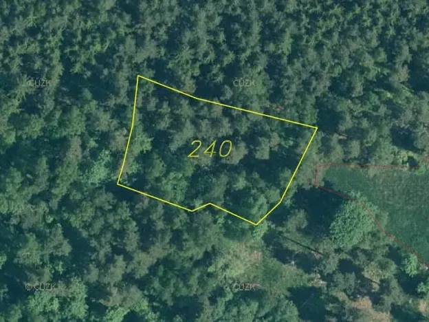 Dražba louky, Rejštejn, 1798 m2