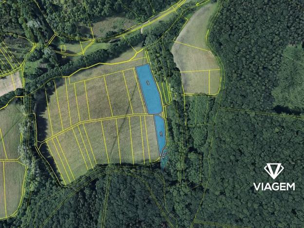 Prodej podílu pole, Žlutava, 2554 m2