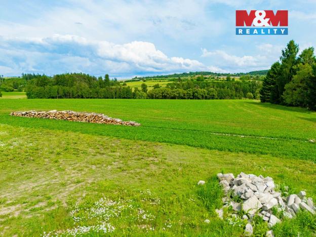 Prodej pole, Bory - Horní Bory, 4299 m2