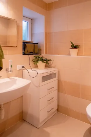 Prodej rodinného domu, Domašov u Šternberka, 550 m2