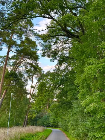 Prodej pozemku pro bydlení, Luštěnice, 9368 m2