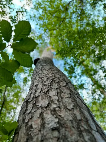 Prodej pozemku pro bydlení, Luštěnice, 9368 m2