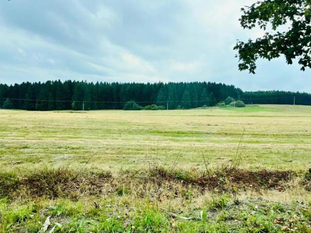 Prodej louky, Herálec, 35197 m2