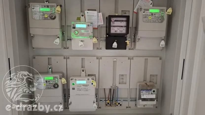 Dražba činžovního domu, Povrly, Převozní, 365 m2