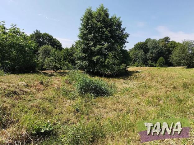 Prodej pozemku pro bydlení, Koberovy, 9985 m2