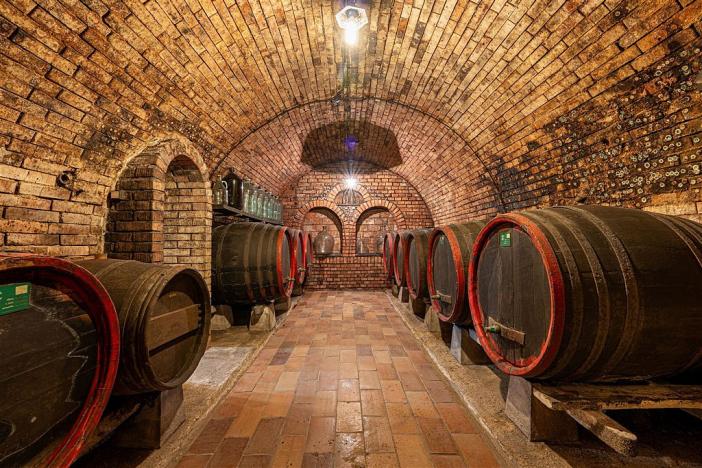 Prodej komerční, Velké Bílovice, 508 m2