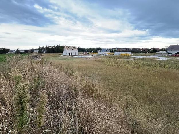 Dražba pozemku, Živanice, 2620 m2