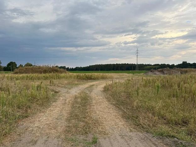Dražba pozemku, Živanice, 2620 m2