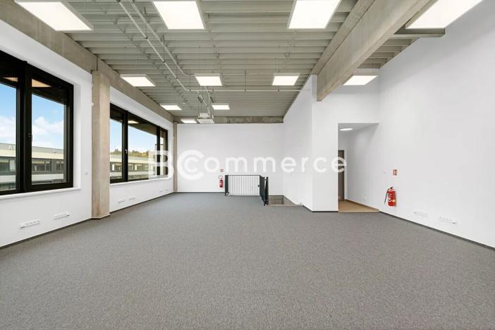 Pronájem skladu, Brno, Vinohradská, 446 m2