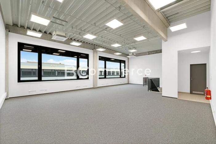 Pronájem skladu, Brno, Vinohradská, 446 m2