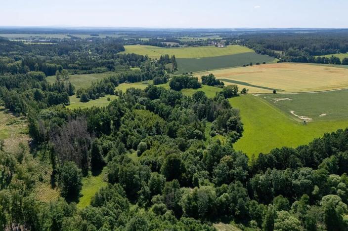 Prodej pozemku pro bydlení, Choustník, 114846 m2