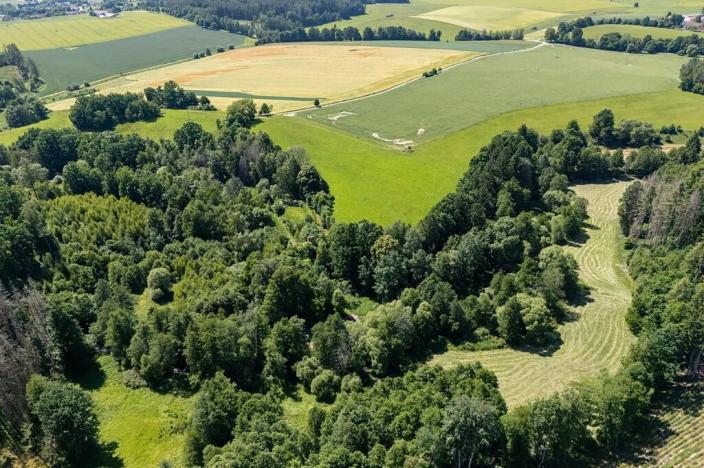 Prodej pozemku pro bydlení, Choustník, 114846 m2