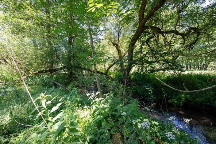 Prodej pozemku pro bydlení, Choustník, 114846 m2