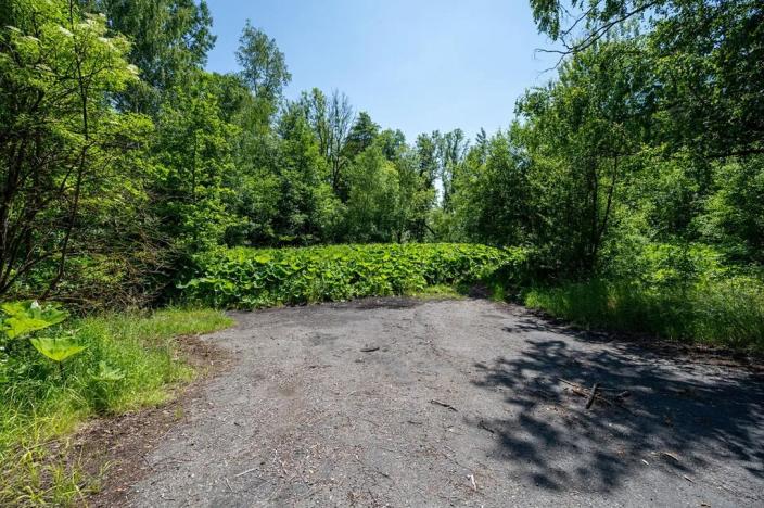 Prodej pozemku pro bydlení, Choustník, 114846 m2