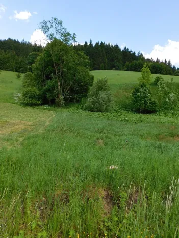 Dražba louky, Velké Karlovice, 14772 m2