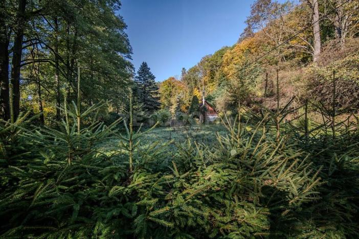 Prodej rodinného domu, Nové Mitrovice, 101 m2