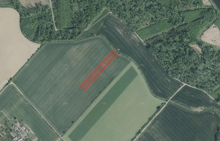 Prodej pole, Střížovice, 29324 m2