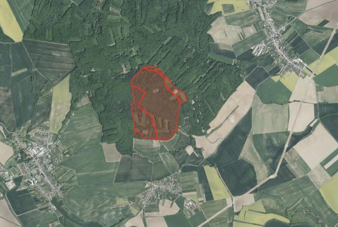 Prodej podílu lesa, Zdounky, 3240 m2