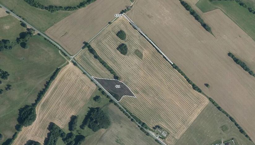 Prodej louky, Zborov, 9806 m2