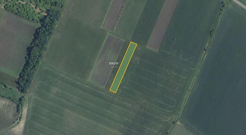 Prodej pole, Novosedly, 9816 m2