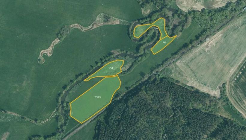 Prodej louky, Červené Poříčí, 26107 m2