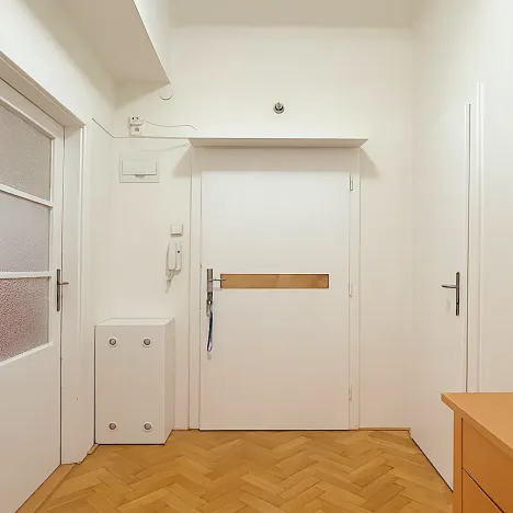 Pronájem bytu 1+1, Brno, Havlišova, 50 m2