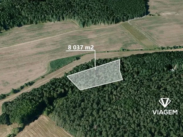 Prodej podílu lesa, Hrdlív, 2411 m2