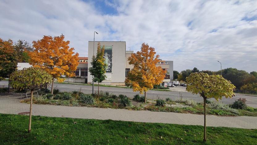 Pronájem bytu 2+kk, Strakonice - Strakonice I, Mlýnská, 34 m2