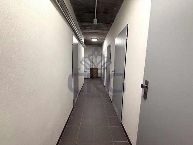 Pronájem bytu 2+kk, Opava - Předměstí, Kačírkova, 64 m2