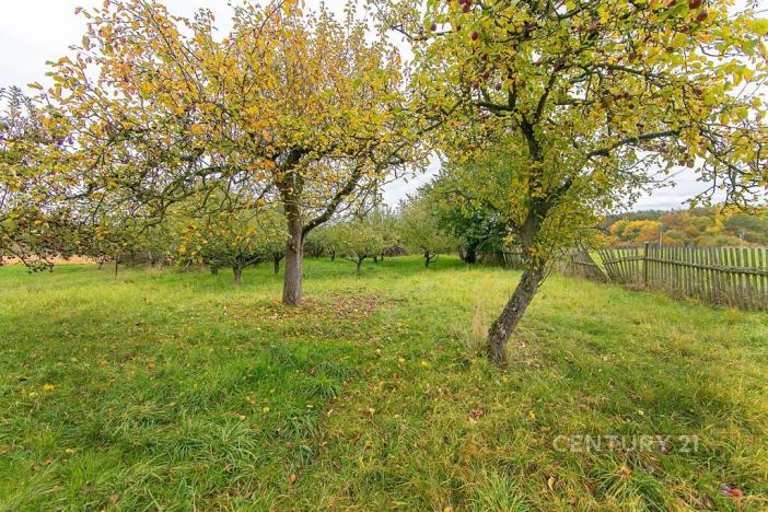 Prodej rodinného domu, Nýřany, 210 m2