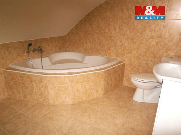 Prodej rodinného domu, Lenešice, Dlouhá, 218 m2