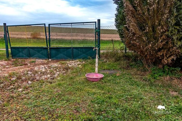 Prodej pozemku pro bydlení, Štěnovický Borek, 1500 m2