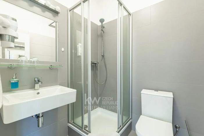 Pronájem bytu 1+kk, Praha - Nusle, Na Jezerce, 21 m2