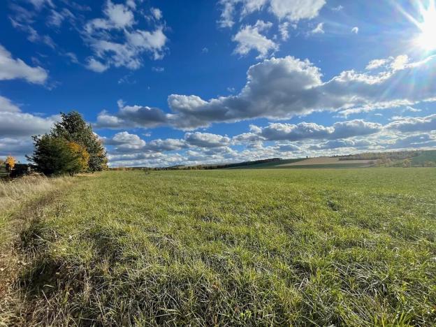 Prodej rodinného domu, Vinaře, 88 m2