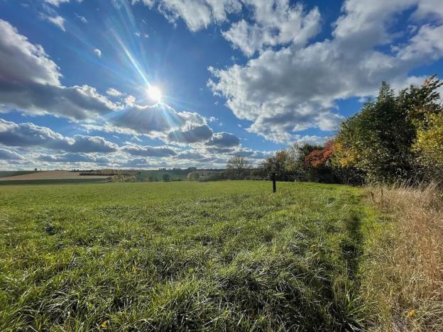 Prodej rodinného domu, Vinaře, 88 m2