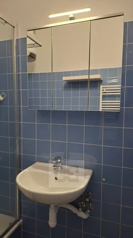 Pronájem bytu 1+kk, Praha - Podolí, U Kublova, 25 m2