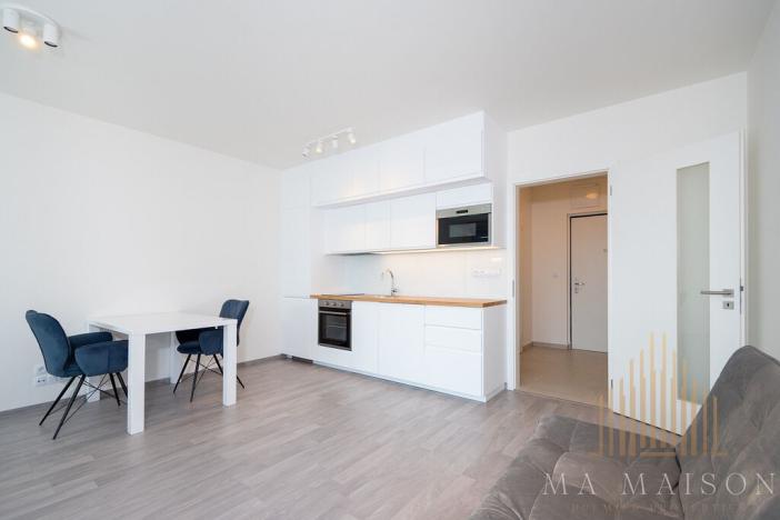 Pronájem bytu 1+kk, Praha - Žižkov, Olgy Havlové, 38 m2