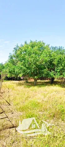 Prodej rodinného domu, Mogilishte, Bulharsko, 170 m2