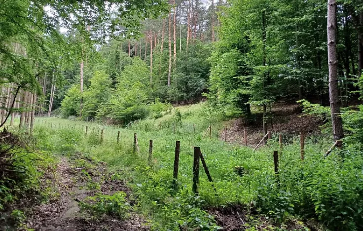 Dražba pozemku, Blatce, 2275 m2