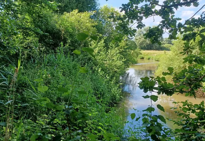 Dražba pozemku, Česká Lípa, 5369 m2