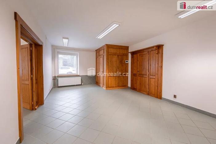 Prodej obchodního prostoru, Mladá Boleslav, Viničná, 107 m2