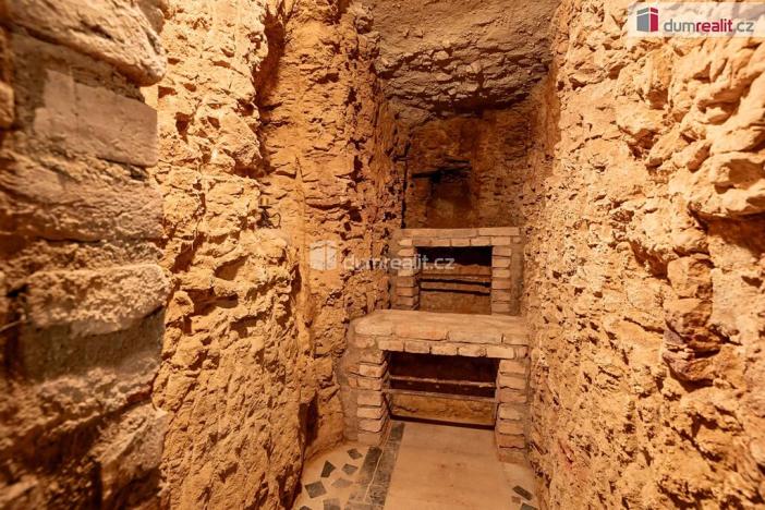 Prodej obchodního prostoru, Mladá Boleslav, Viničná, 107 m2