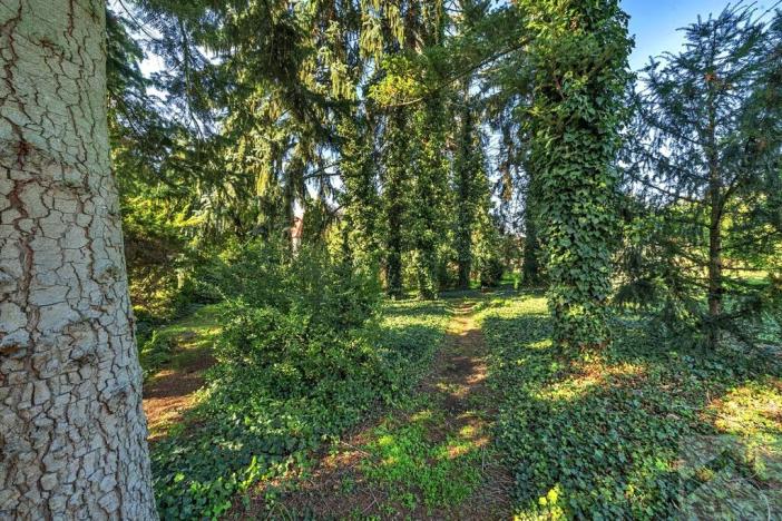 Prodej rodinného domu, Hradec Králové, Vlčkovická, 256 m2