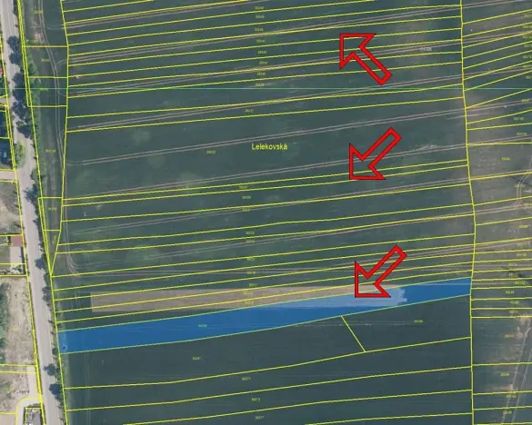 Dražba pole, Brno, 8031 m2